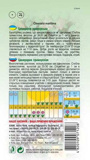 tsynerariya-prymorska-1