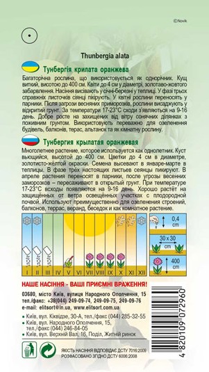 tunbergiya-oranzheva-1
