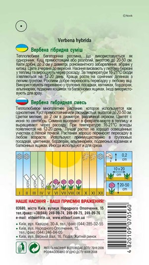 verbena-gibrydna-sumish-1