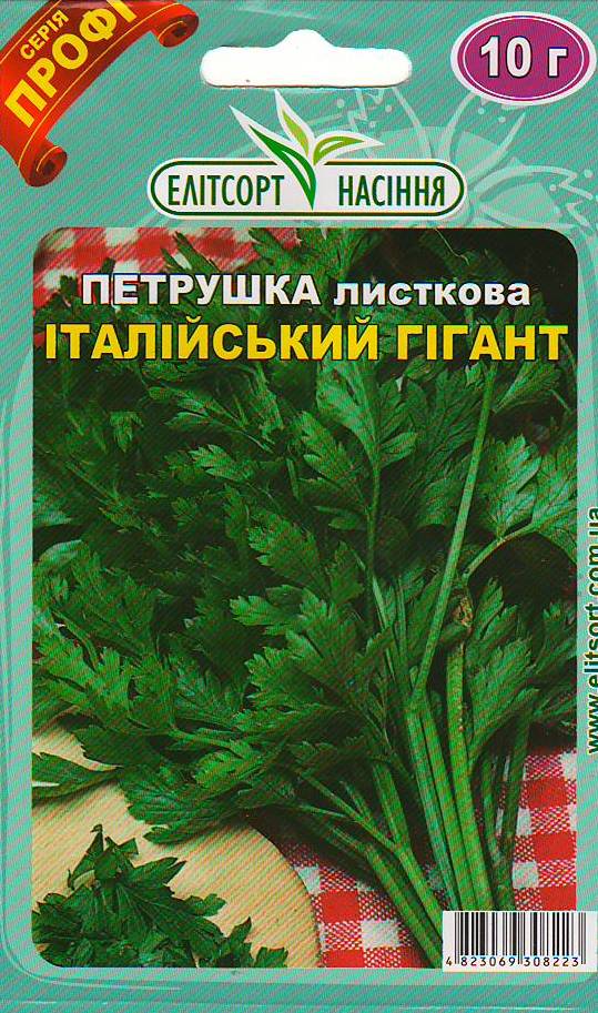 итал гиг
