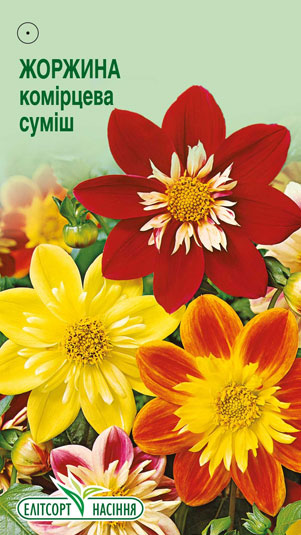 zhorzhyna-komirtseva-sumish