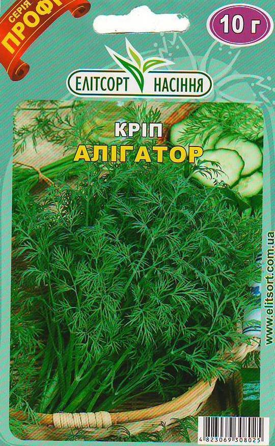 алігатор
