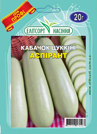 аспирант