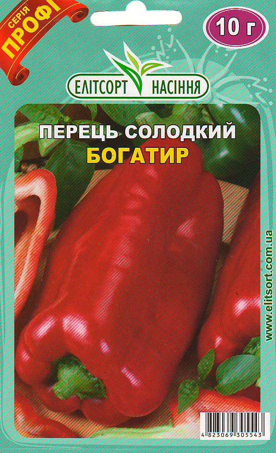 богатир
