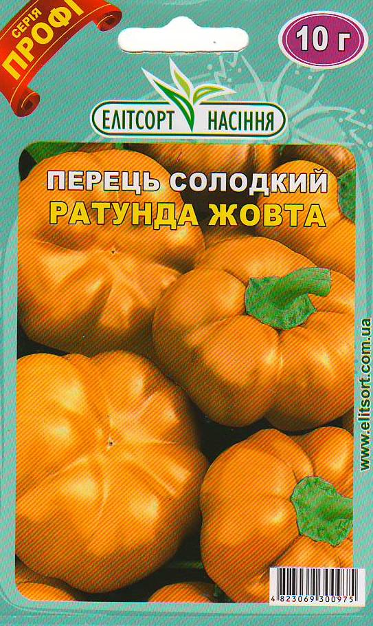ратунда