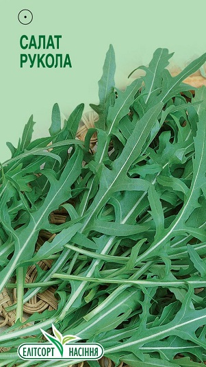 Salat-Rukola