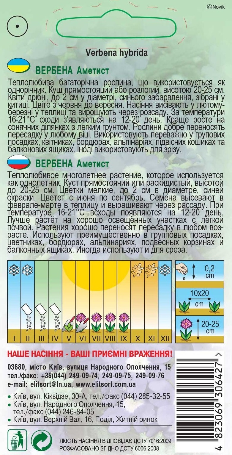 Вербена-Аметист