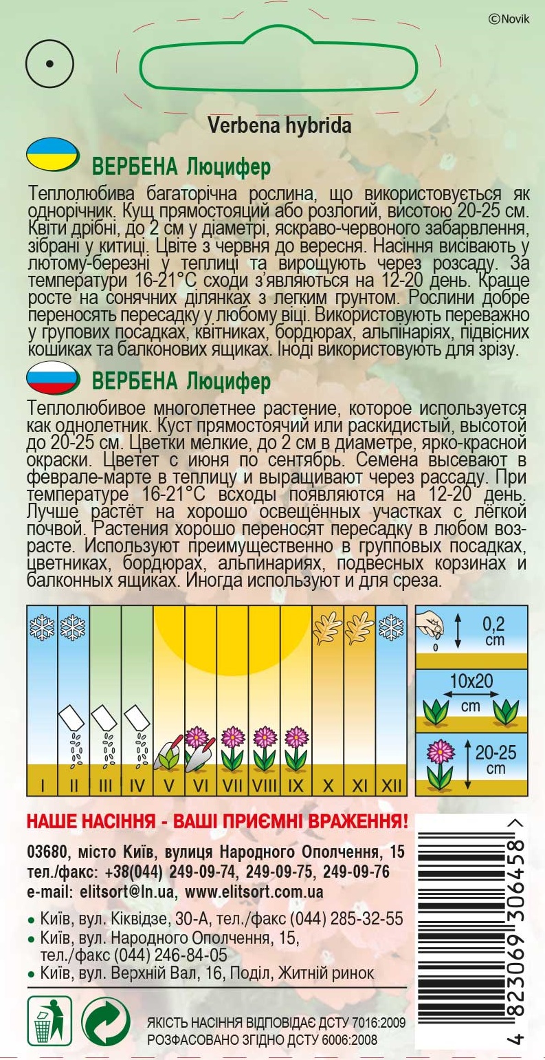 Вербена-Люцифер1