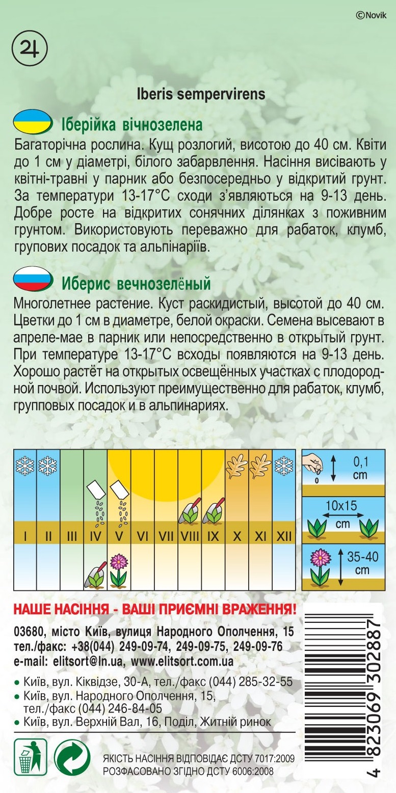 Иберийка-вичнозелена-(Иберис)4521