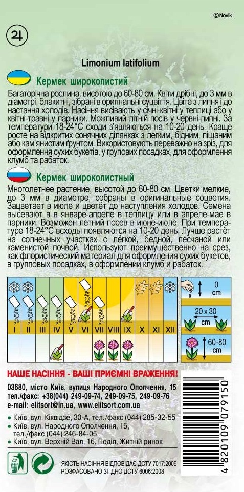 кермек-широколисти54785