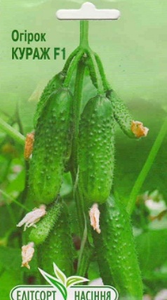 кураж