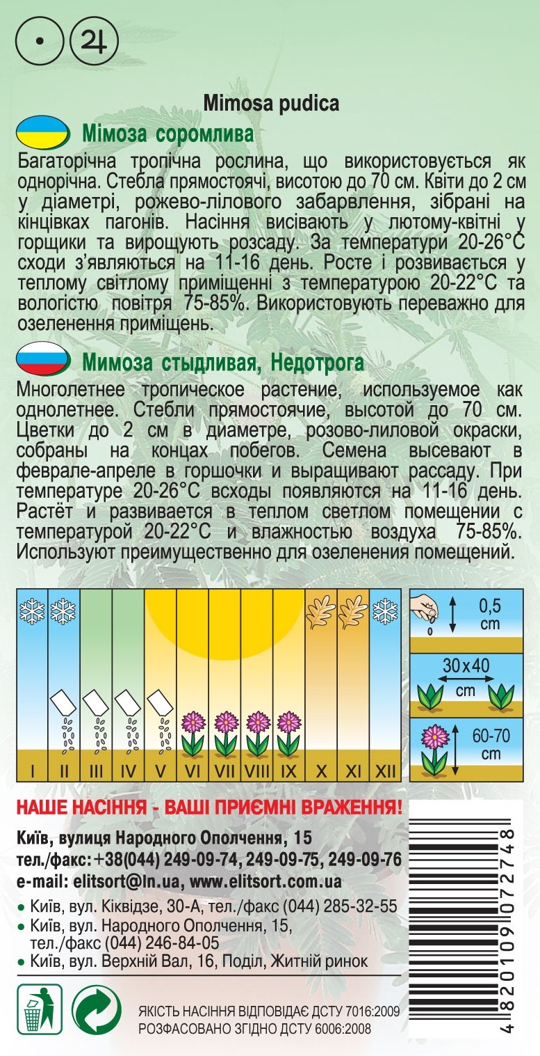 мимоза12