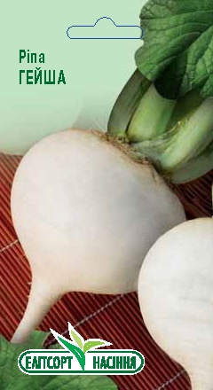 рипа
