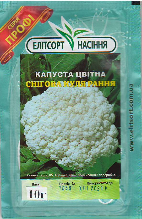 снег ран