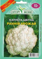 ран ур