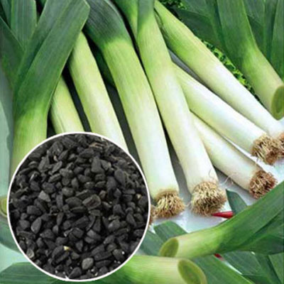 Цибуля порей (Франція) Цибуля порей (Франція)