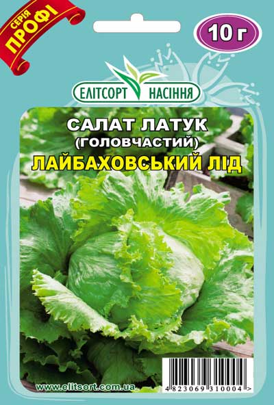 Салат головчастий Лайбаховський лід Салат головчастий Лайбаховський лід