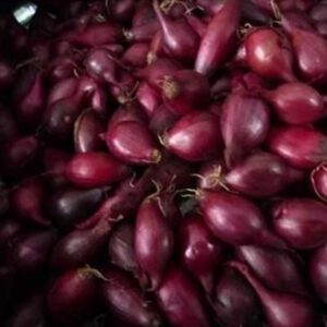 Цибуля-сівок Ред Барон